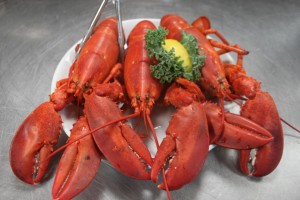 Lobster Plate